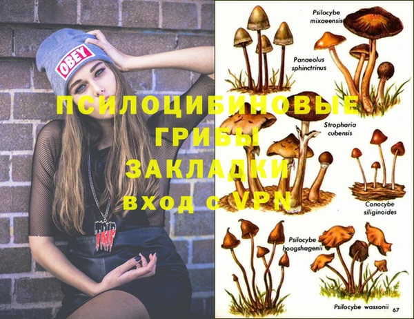 mdma Чердынь