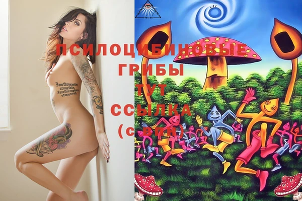 прущая мука Чекалин