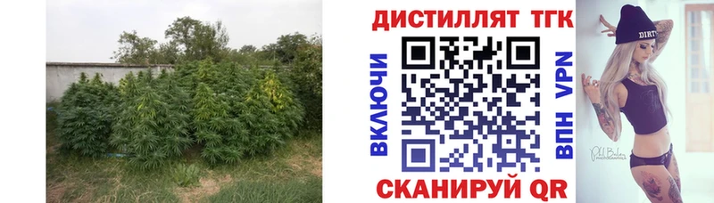 Дистиллят ТГК гашишное масло  нарко площадка какой сайт  Шумерля 