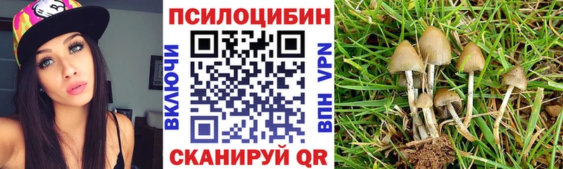 Галлюциногенные грибы GOLDEN TEACHER  Шумерля 