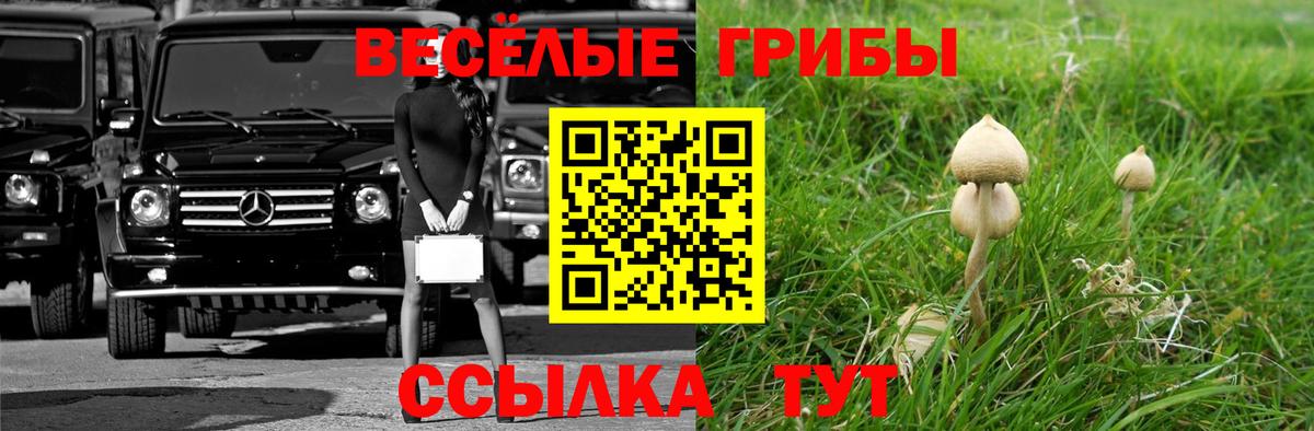 Галлюциногенные грибы MAGIC MUSHROOMS Шумерля