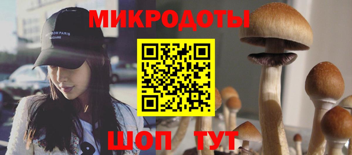 Псилоцибиновые грибы мицелий  Вход с VPN  Галлюциногенные грибы Magic Shrooms  Шумерля 