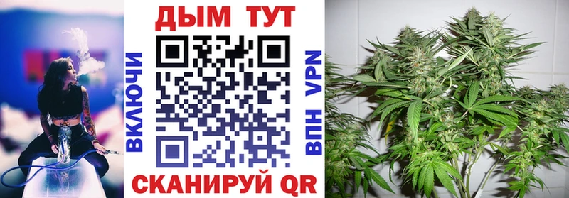 Бошки марихуана THC 21%  купить наркотики цена  блэк спрут ссылки  Шумерля 
